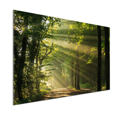 Dekoračný panel sklo Les slnko
