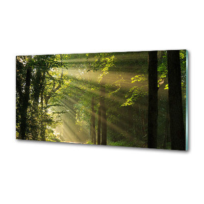 Dekoračný panel sklo Les slnko