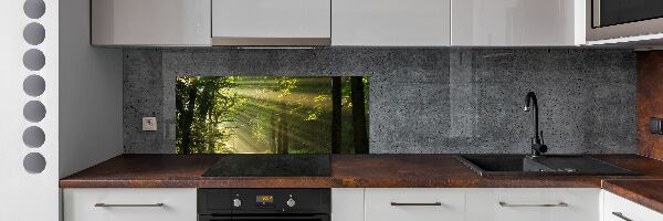 Dekoračný panel sklo Les slnko
