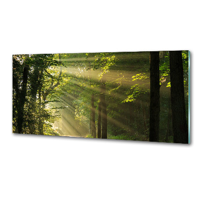 Dekoračný panel sklo Les slnko
