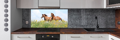 Panel lacobel Dva kone v cvale