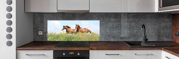 Panel lacobel Dva kone v cvale