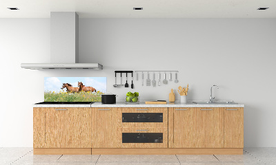 Panel lacobel Dva kone v cvale