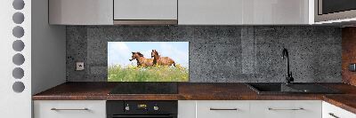 Panel lacobel Dva kone v cvale