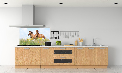 Panel lacobel Dva kone v cvale