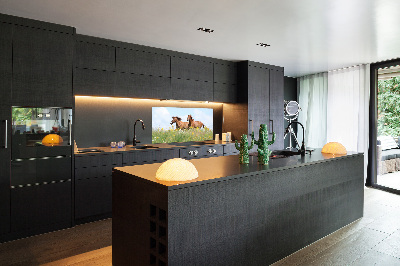 Panel lacobel Dva kone v cvale
