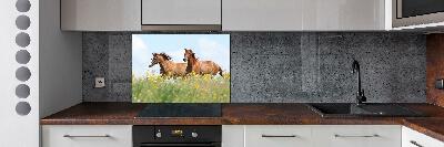 Panel lacobel Dva kone v cvale