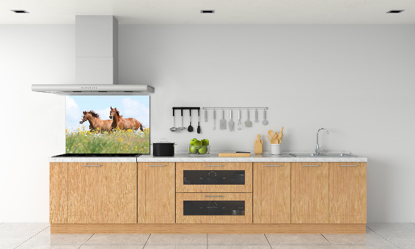 Panel lacobel Dva kone v cvale