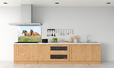 Panel lacobel Dva kone v cvale
