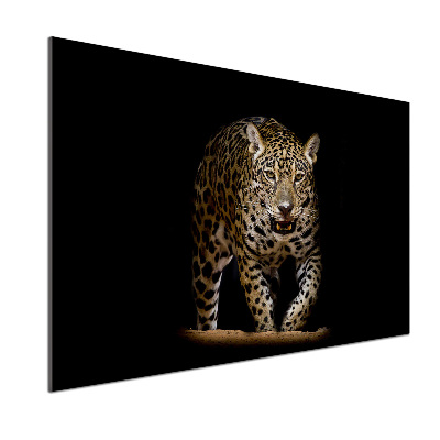 Sklenený panel do kuchyne Jaguar