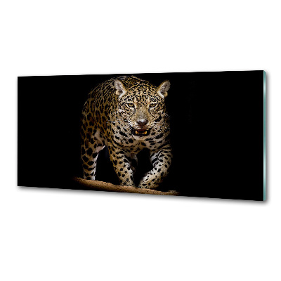 Sklenený panel do kuchyne Jaguar