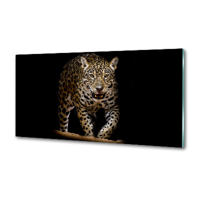 Sklenený panel do kuchyne Jaguar