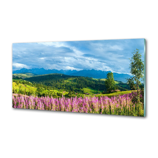Panel do kuchyne Levanduľa v horách