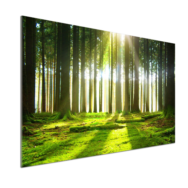 Dekoračný panel sklo Les slnko