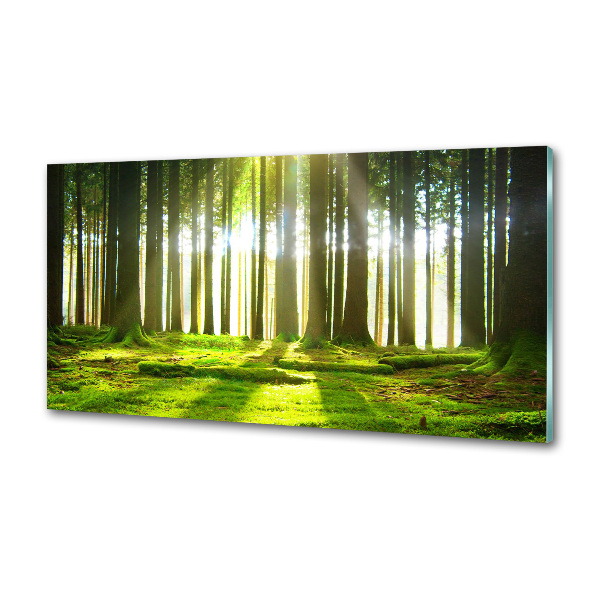 Dekoračný panel sklo Les slnko