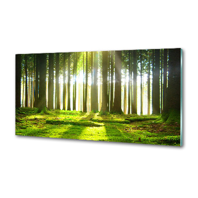 Dekoračný panel sklo Les slnko