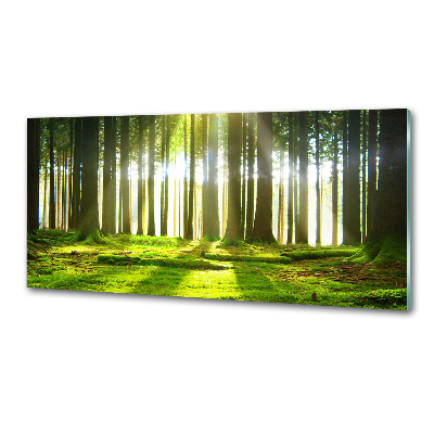 Dekoračný panel sklo Les slnko
