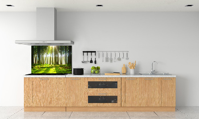 Dekoračný panel sklo Les slnko