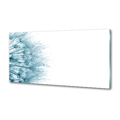 Dekoračný panel sklo Púpava