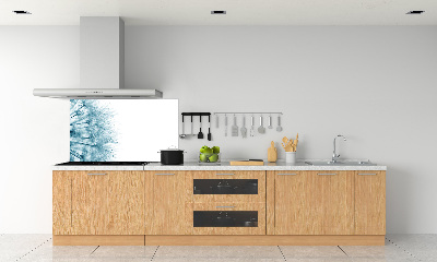 Dekoračný panel sklo Púpava