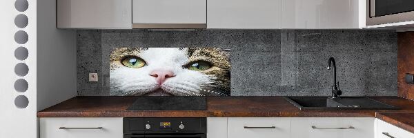 Panel do kuchyne Zelené mačacie oči