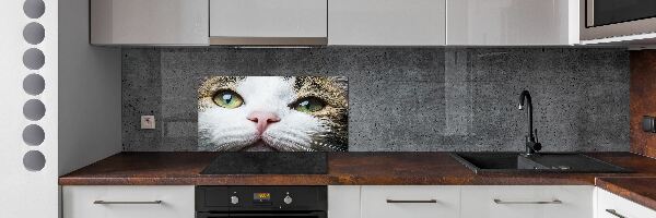 Panel do kuchyne Zelené mačacie oči