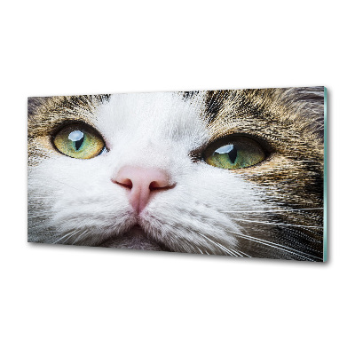 Panel do kuchyne Zelené mačacie oči
