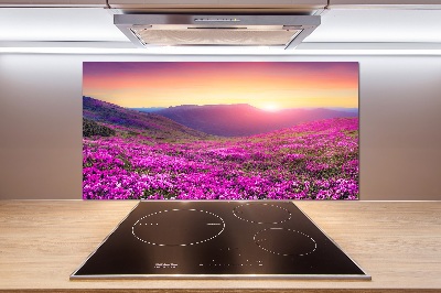 Panel do kuchyne Ružové kopca
