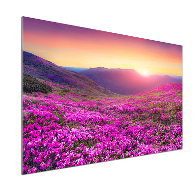 Panel do kuchyne Ružové kopca