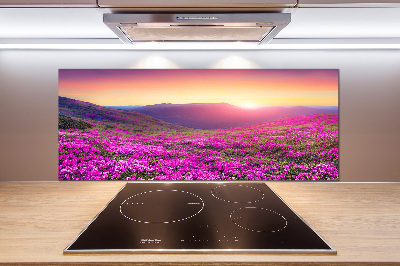 Panel do kuchyne Ružové kopca