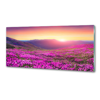 Panel do kuchyne Ružové kopca