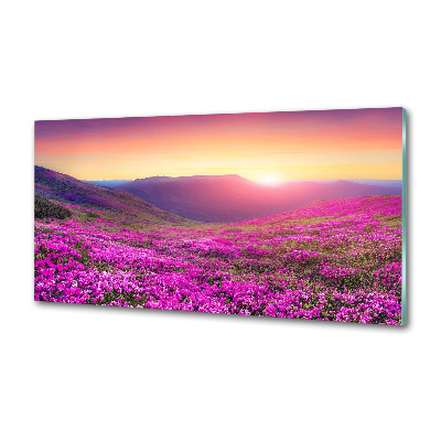 Panel do kuchyne Ružové kopca