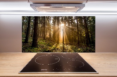 Panel do kuchyne Slnečné svetlo