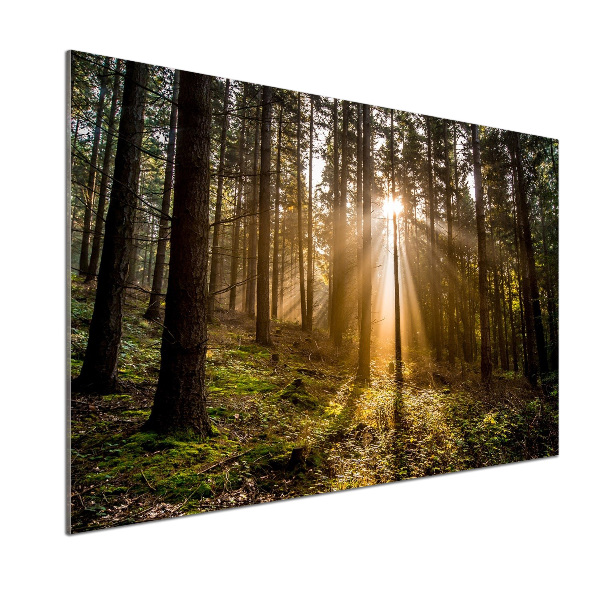 Panel do kuchyne Slnečné svetlo