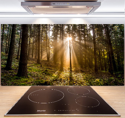 Panel do kuchyne Slnečné svetlo