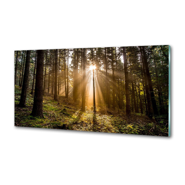 Panel do kuchyne Slnečné svetlo
