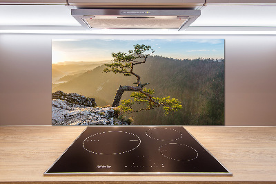 Panel do kuchyne Sokolice Pieniny