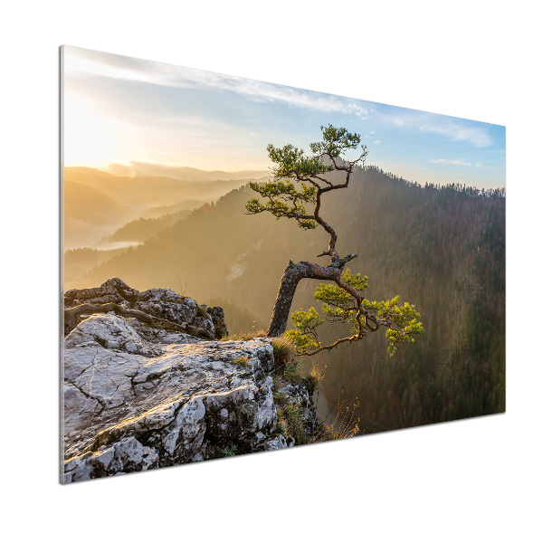 Panel do kuchyne Sokolice Pieniny
