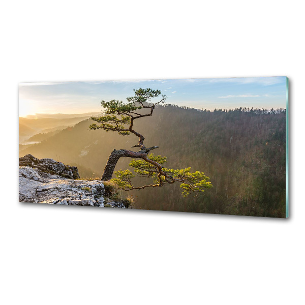Panel do kuchyne Sokolice Pieniny