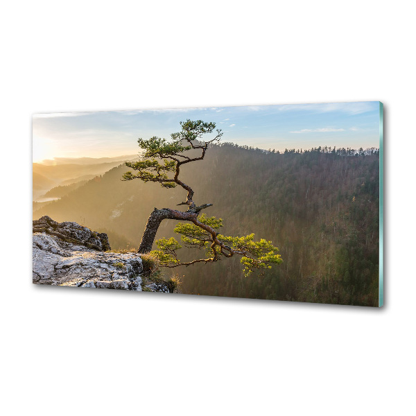 Panel do kuchyne Sokolice Pieniny