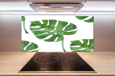 Sklenený panel do kuchynskej linky Monstera