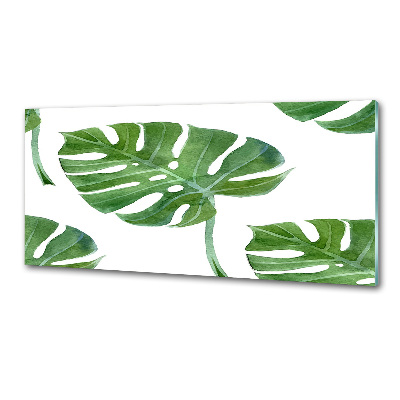 Sklenený panel do kuchynskej linky Monstera