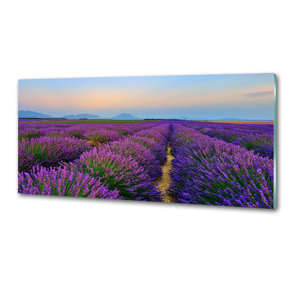 Dekoračný panel sklo Pole levanduľa