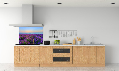 Dekoračný panel sklo Pole levanduľa