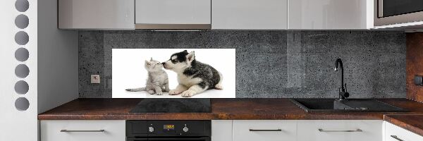 Dekoračný panel sklo Pes a mačka