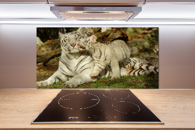 Sklenený panel do kuchyne Tigre