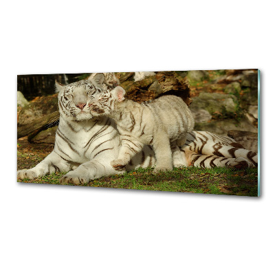 Sklenený panel do kuchyne Tigre