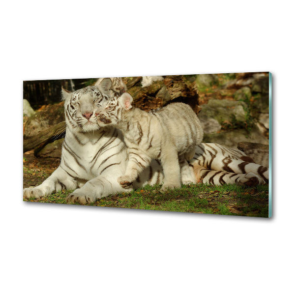 Sklenený panel do kuchyne Tigre