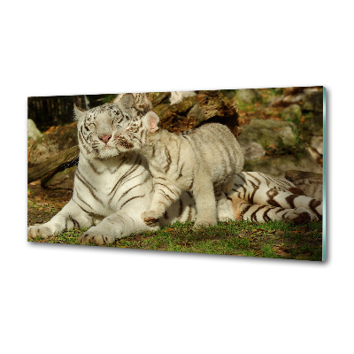 Sklenený panel do kuchyne Tigre