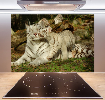 Sklenený panel do kuchyne Tigre